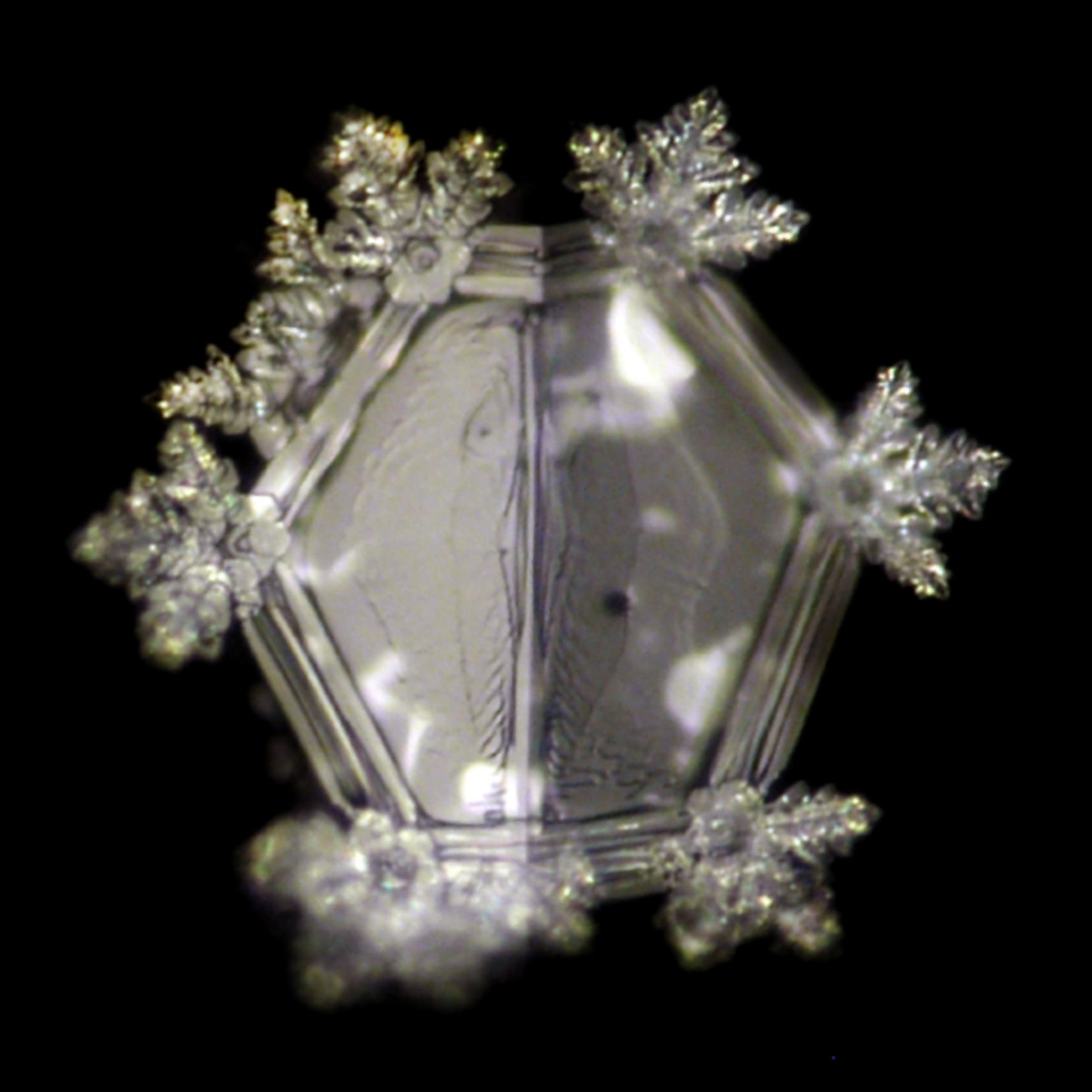 62903-Chakra-Affirmation-HARMONIE