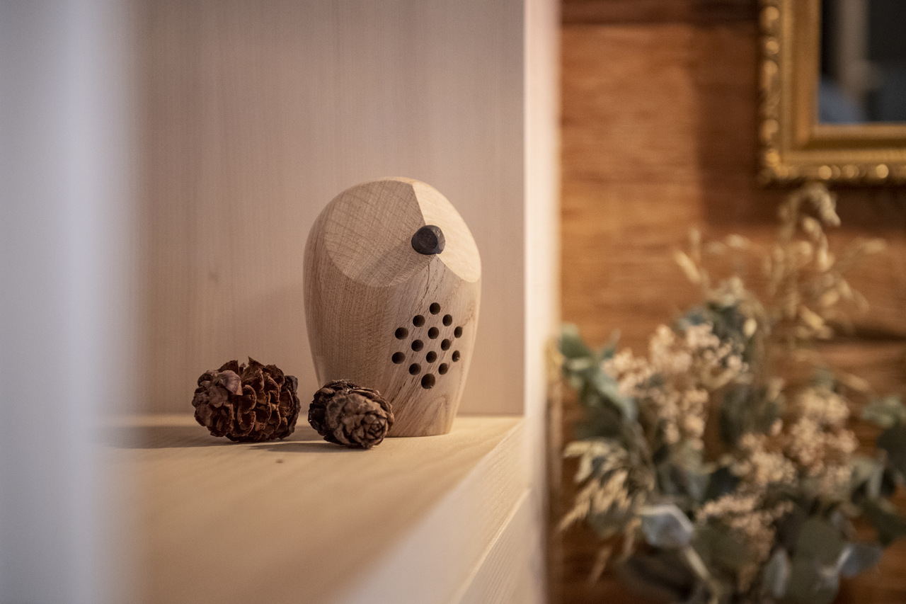 Huuri_Regal-1_low-res