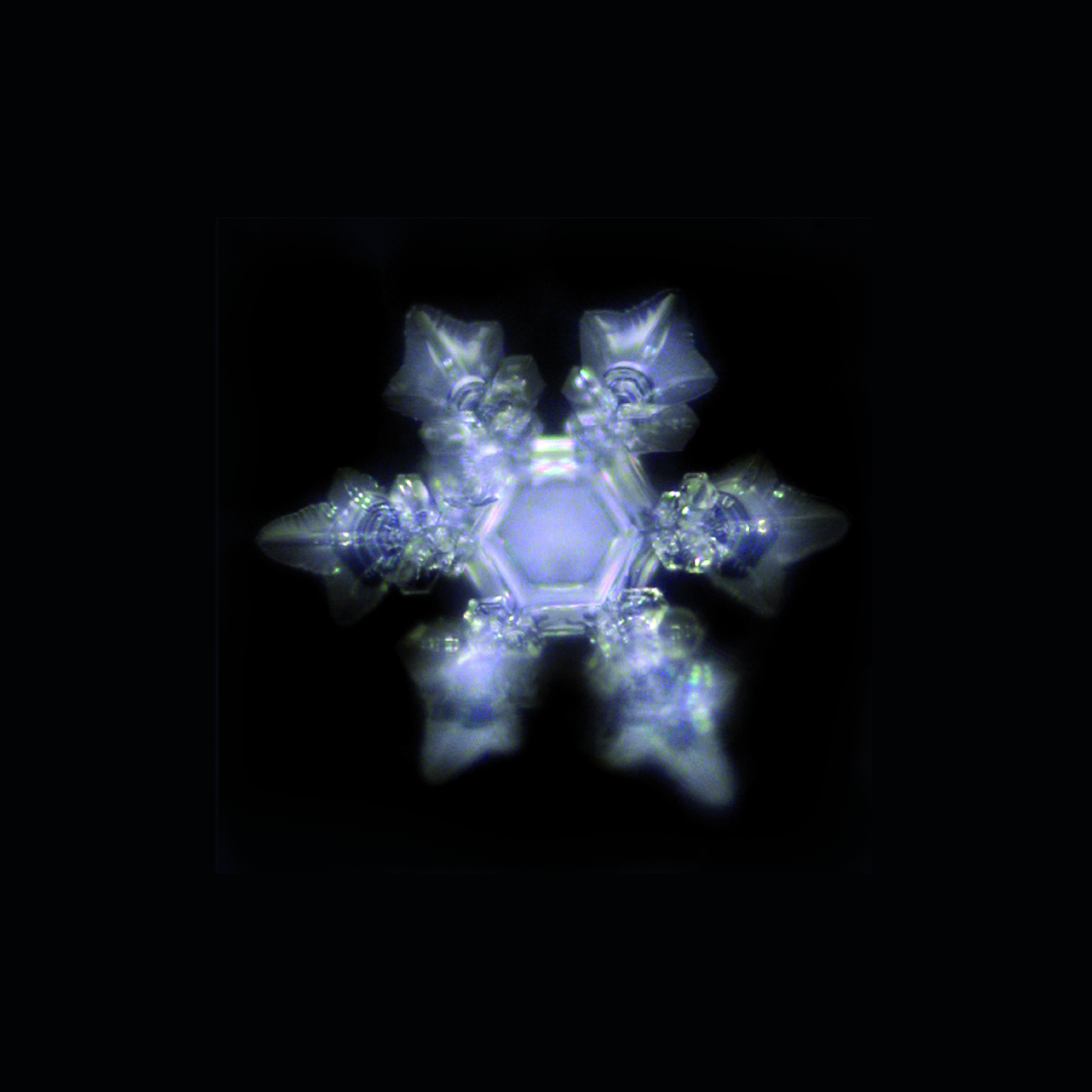 Alladin-CrystalznafkWIJqyTGZ