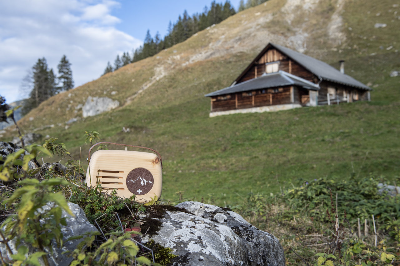 3010_Senn-braun_Stein-1_low-res