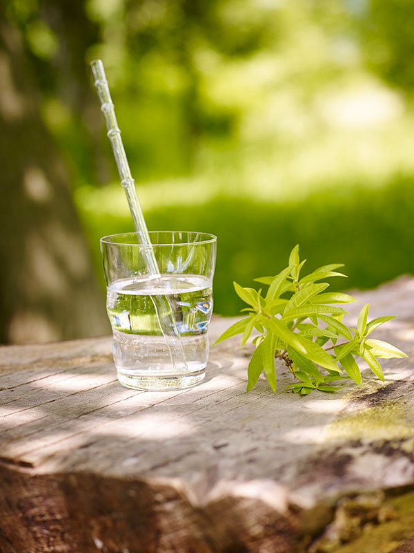 6110-3100-Jasmina_Calamus-Nature-_LoRes