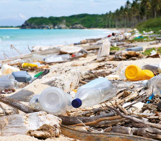 noplastic