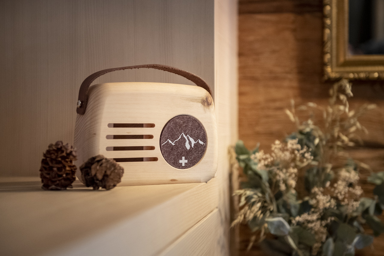 3010_Senn-braun_Regal-2_low-res