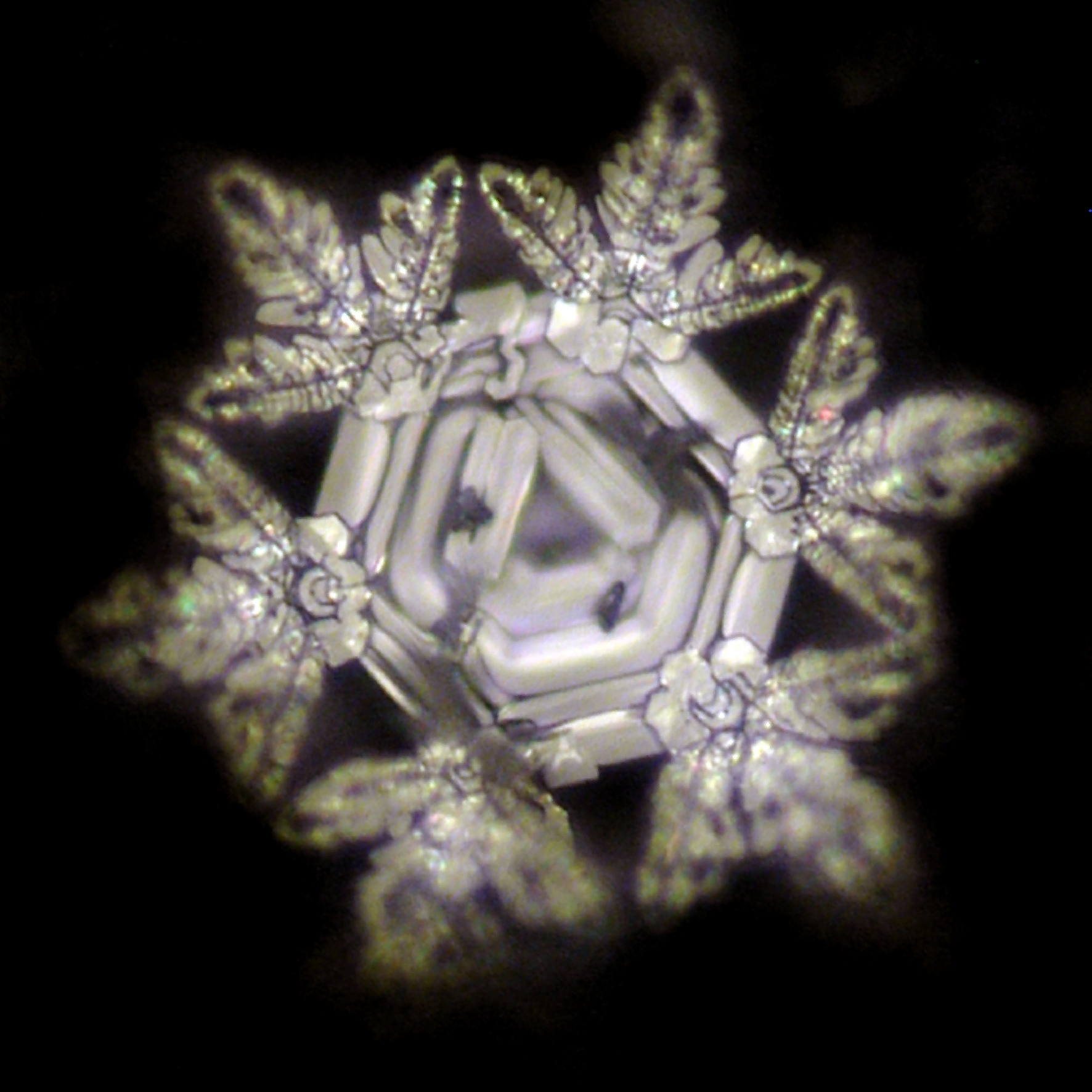 62906-Chakra-Affirmation-GESUNDHEIT