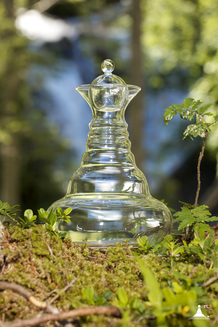 7110-Alladin-Golden-Forest-_LoRes