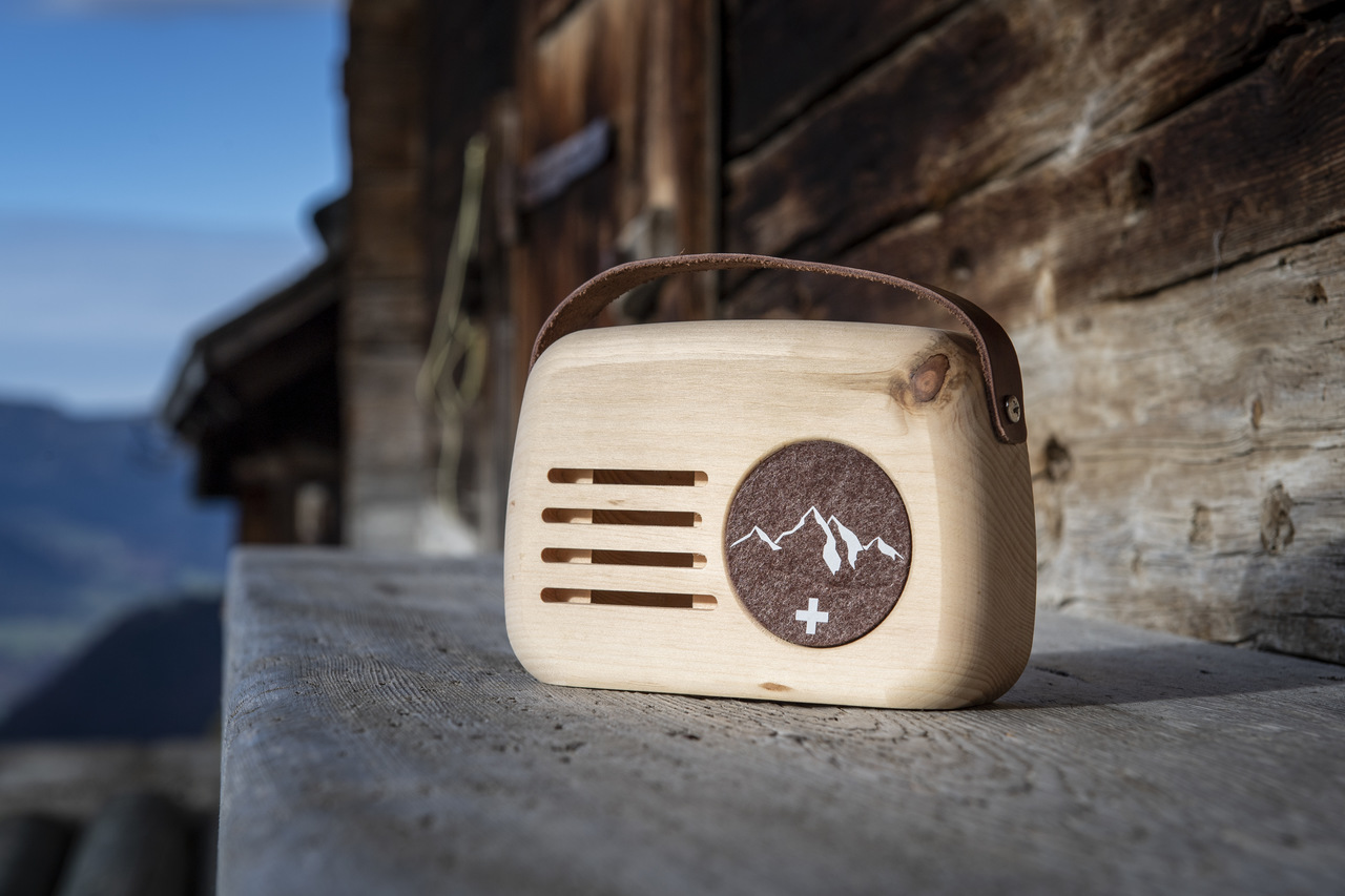 3010_Senn-braun_Bank-1_low-res