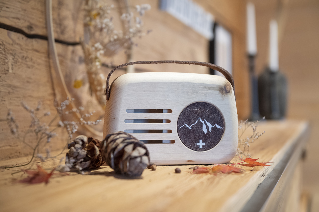 3010_Senn-braun_Tannenzapfen-3_low-res